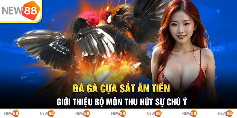 Đá gà cựa sắt ăn tiền - giới thiệu bộ môn thu hút sự chú ý