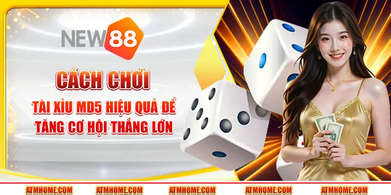 Cách chơi tài xỉu MD5 hiệu quả để tăng cơ hội thắng lớn