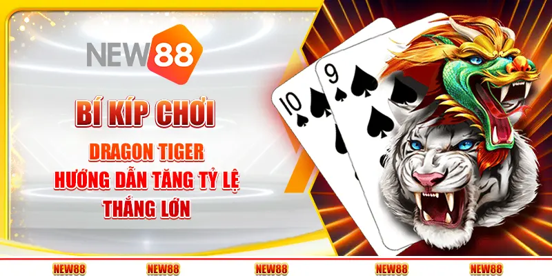 Bí kíp chơi Dragon Tiger - Hướng dẫn tăng tỷ lệ thắng lớn