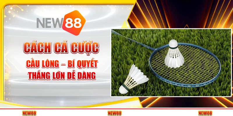 Cách cá cược cầu lông – Bí quyết thắng lớn dễ dàng