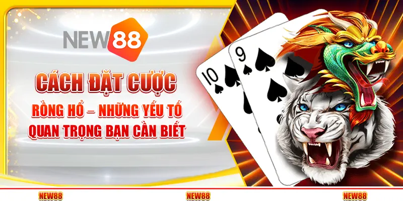 Cách đặt cược Rồng Hổ để đạt tỷ lệ chiến thắng cao