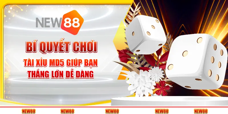 Bí quyết chơi Tài Xỉu MD5 giúp bạn thắng lớn dễ dàng