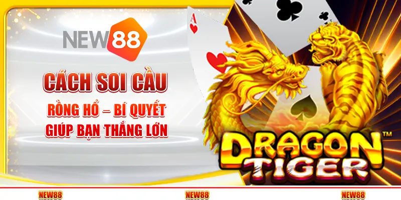 Cách soi cầu Rồng Hổ – Bí quyết giúp bạn thắng lớn
