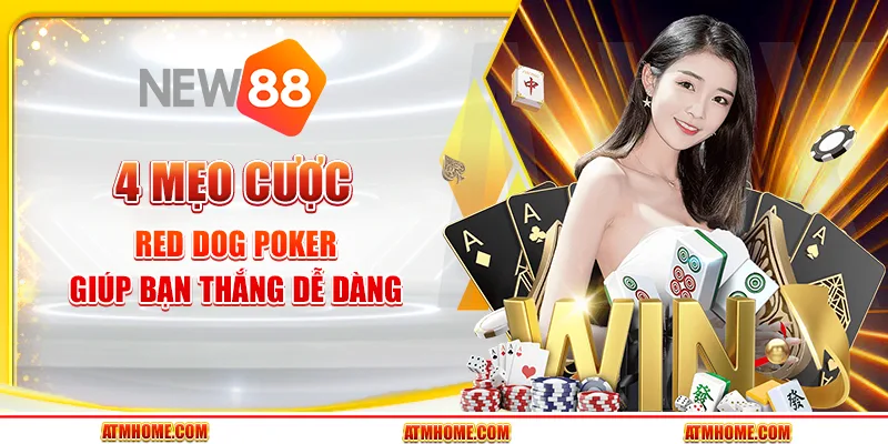 4 mẹo cược Red Dog Poker giúp bạn thắng dễ dàng