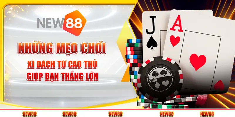 Những mẹo chơi Xì Dách từ cao thủ giúp bạn thắng lớn