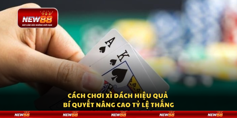 Cách chơi Xì Dách hiệu quả - Bí quyết nâng cao tỷ lệ thắng