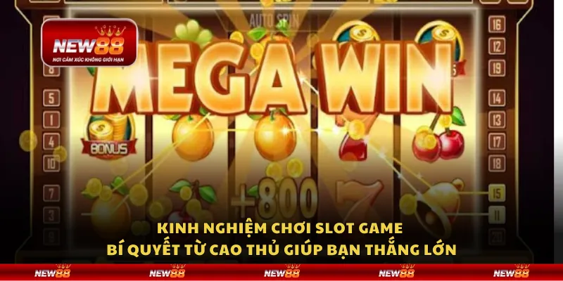 Kinh nghiệm chơi slot game - Bí quyết từ cao thủ giúp bạn thắng lớn