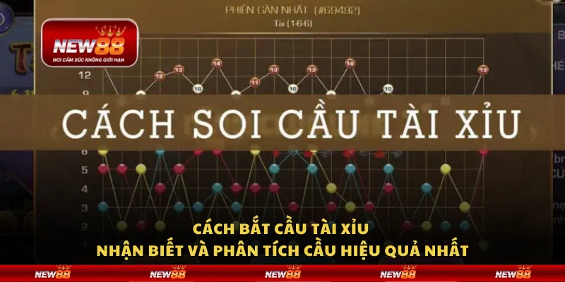 Cách bắt cầu Tài Xỉu – Nhận biết và phân tích cầu hiệu quả nhất